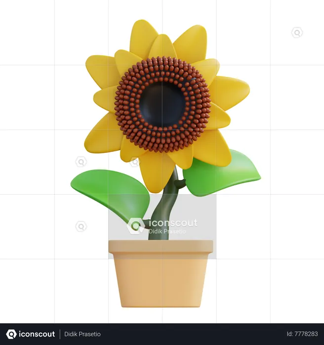 Sunflower  3D Icon