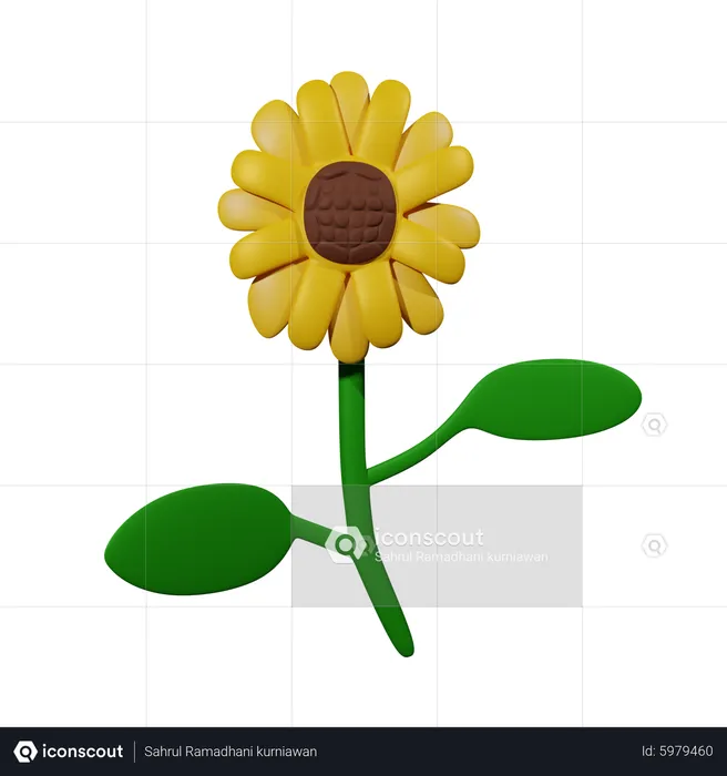 Sunflower  3D Icon