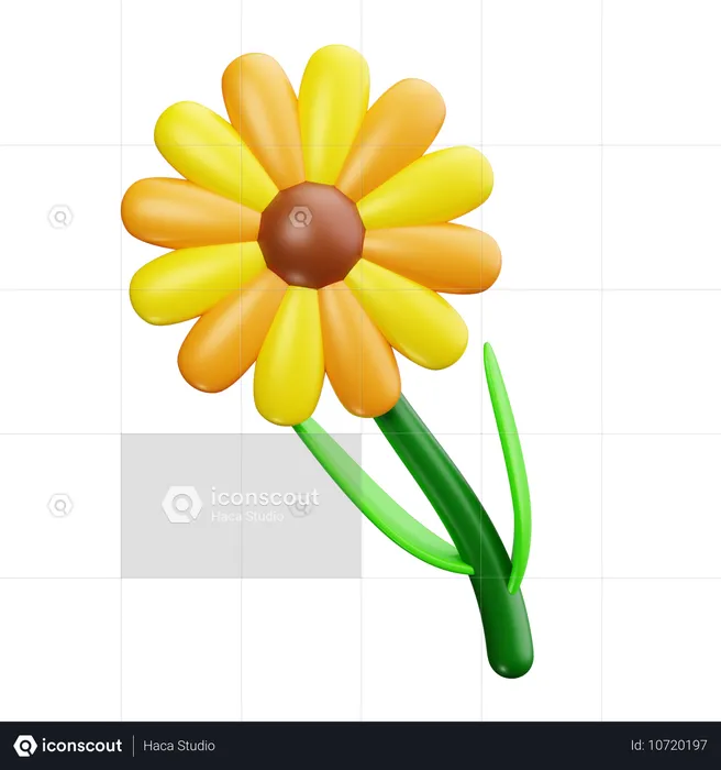 Sunflower  3D Icon