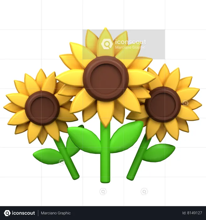 Sunflower  3D Icon