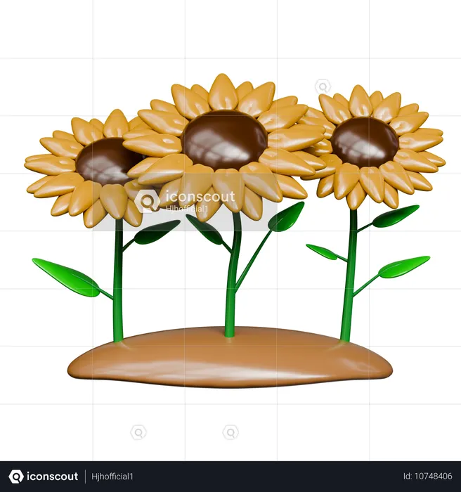 Sunflower Garden  3D Icon