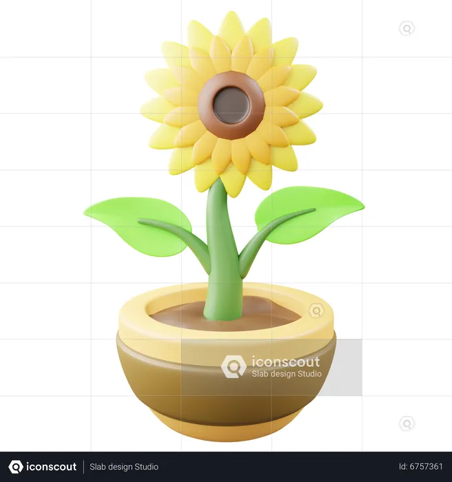 Sunflower Pot  3D Icon