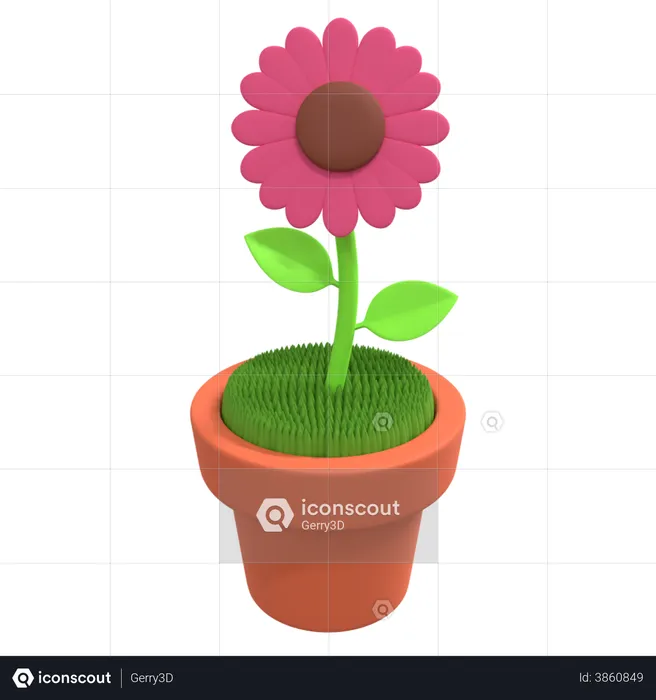 Sunflower Pot  3D Illustration