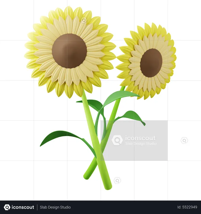 Sunflower Tree  3D Icon