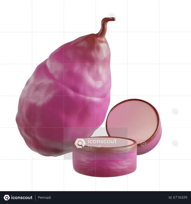 Sweet Potatoes  3D Icon