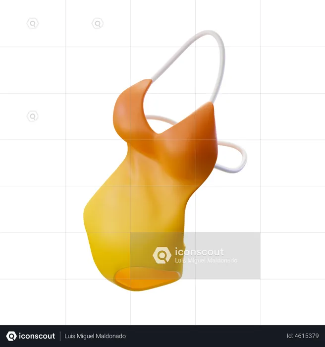 Swimsuit  3D Illustration