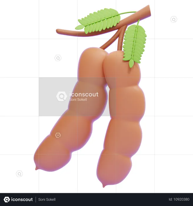 Tamarindo  3D Icon