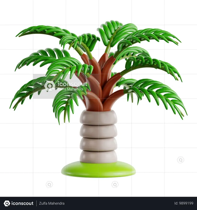 Teddy Bear Palm  3D Icon