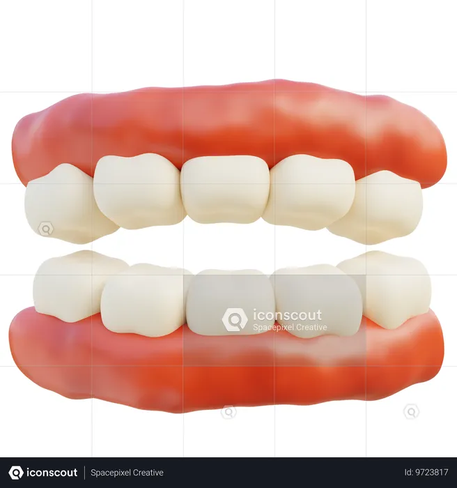 Teeth  3D Icon