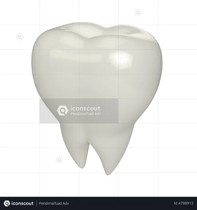 Teeth  3D Illustration