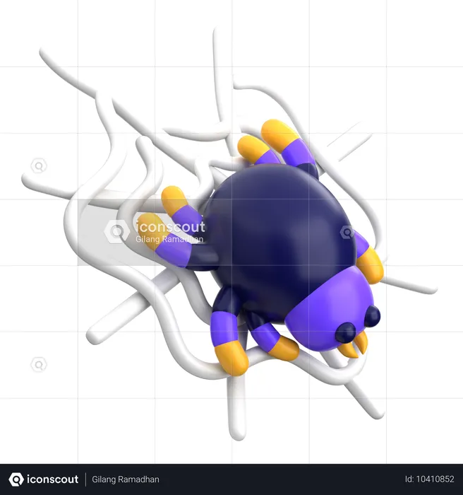 Teia de aranha  3D Icon