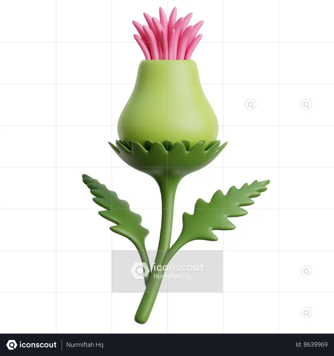 Thistle Flower  3D Icon