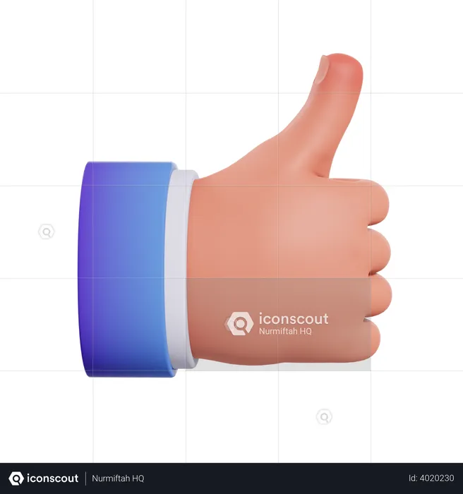 Thumbs Up Hand Gesture  3D Illustration