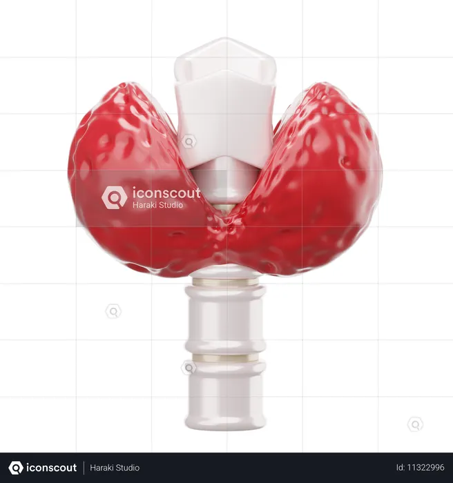 Thyroid  3D Icon