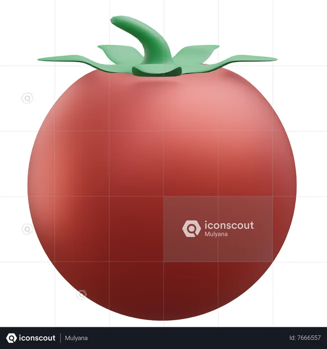 Tomato  3D Icon