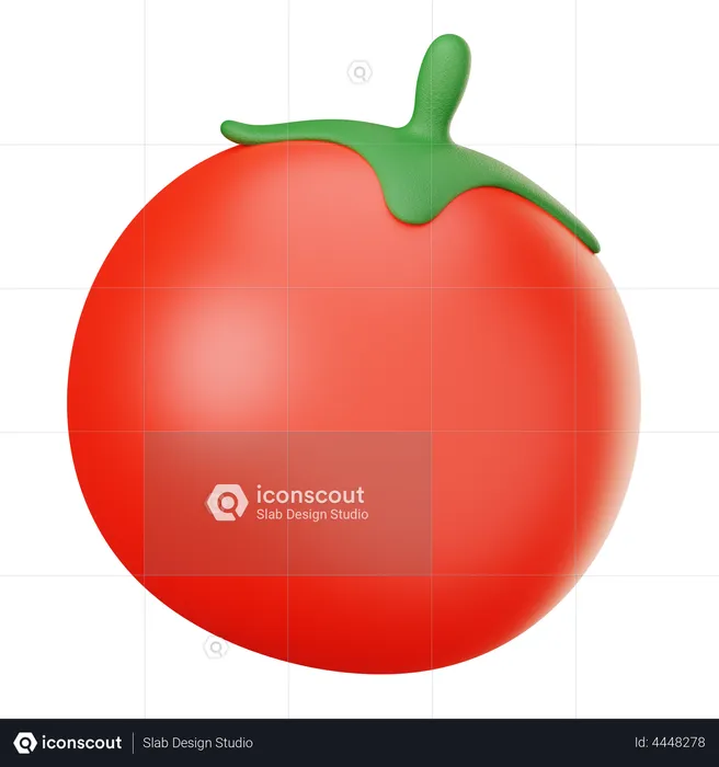 Tomato  3D Illustration