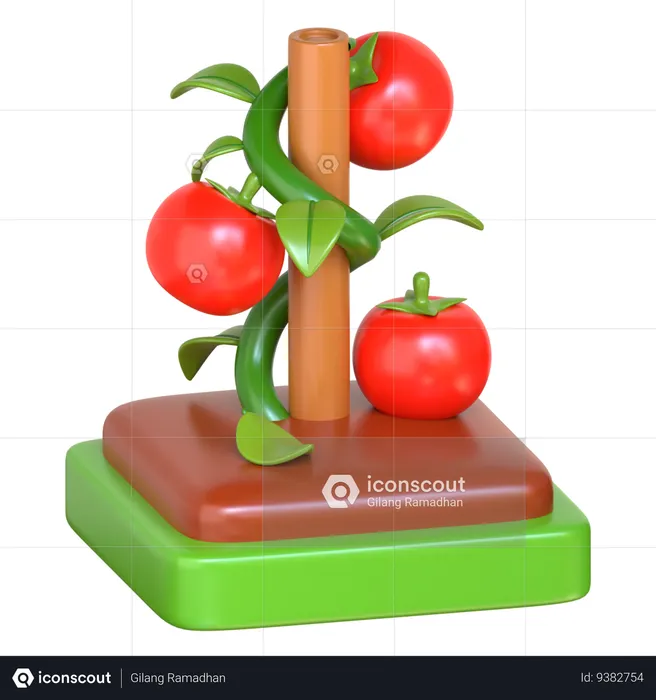 Tomato Farm  3D Icon