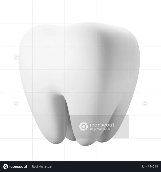 Tooth  3D Illustration