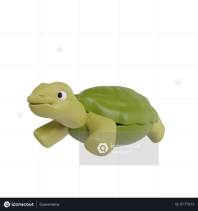 Tortuga  3D Icon