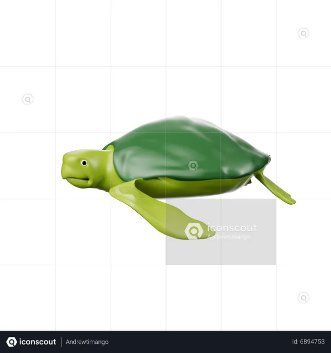 Tortuga  3D Icon