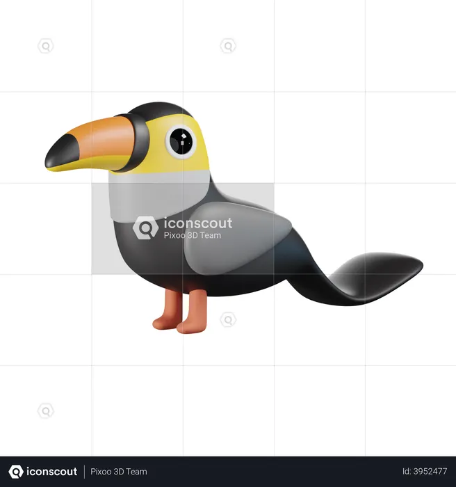 Toucan  3D Illustration