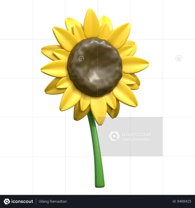 Tournesol  3D Icon