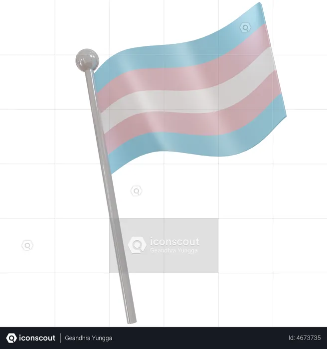 Transgender Flag Flag 3D Illustration