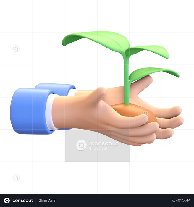 Tree plantation  3D Illustration