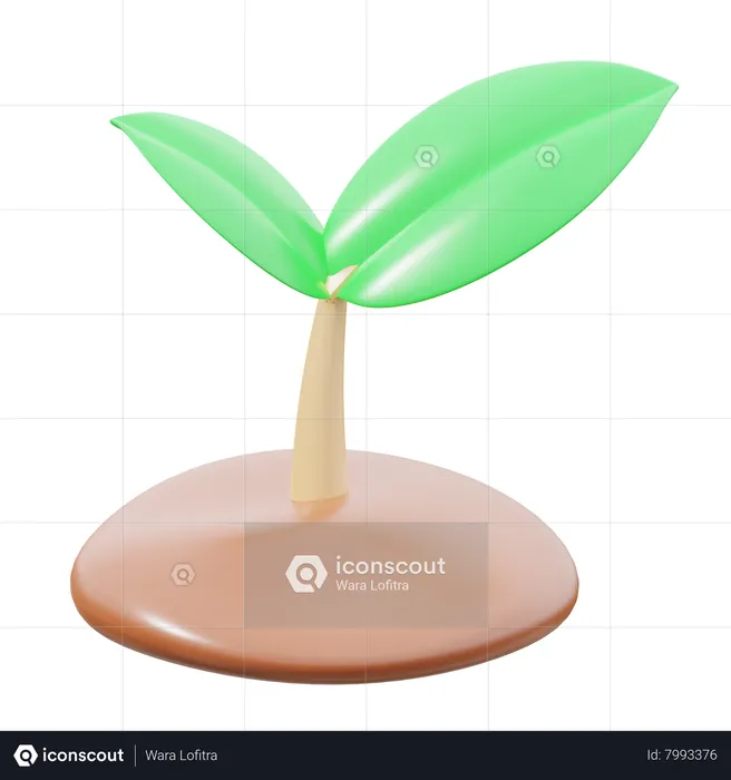 Tree seeds  3D Icon