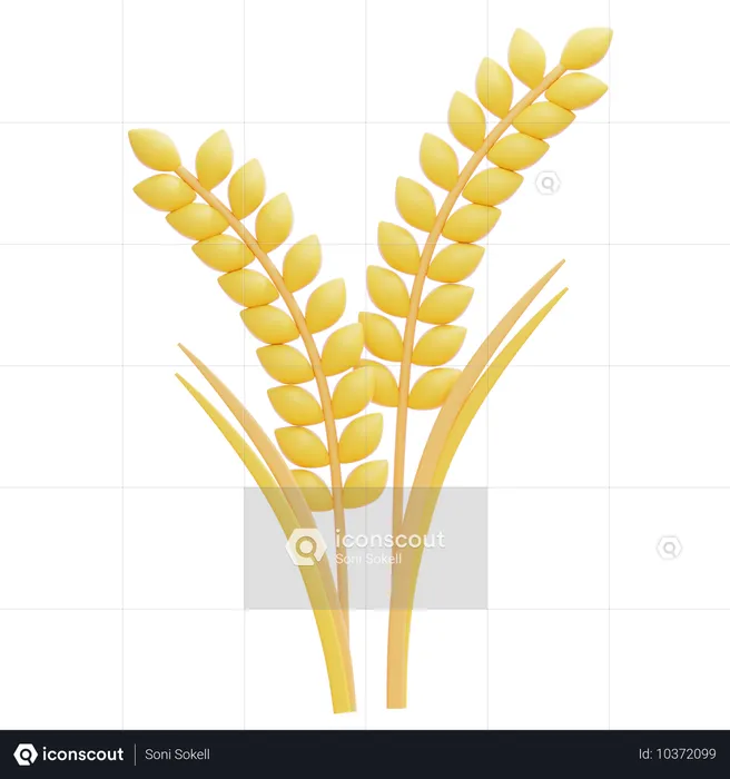 Trigo  3D Icon