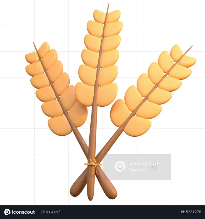 Grano de planta de trigo  3D Icon