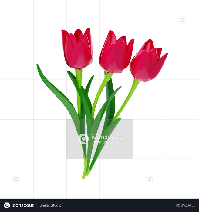 Tulip  3D Icon