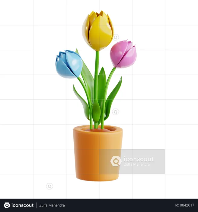 Tulip  3D Icon