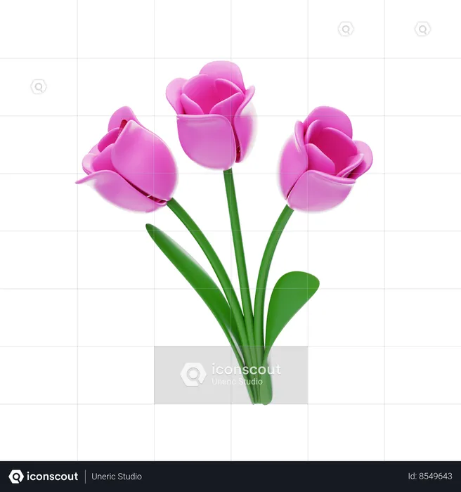 Tulip  3D Icon