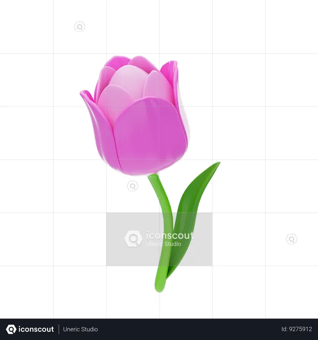 Tulip  3D Icon