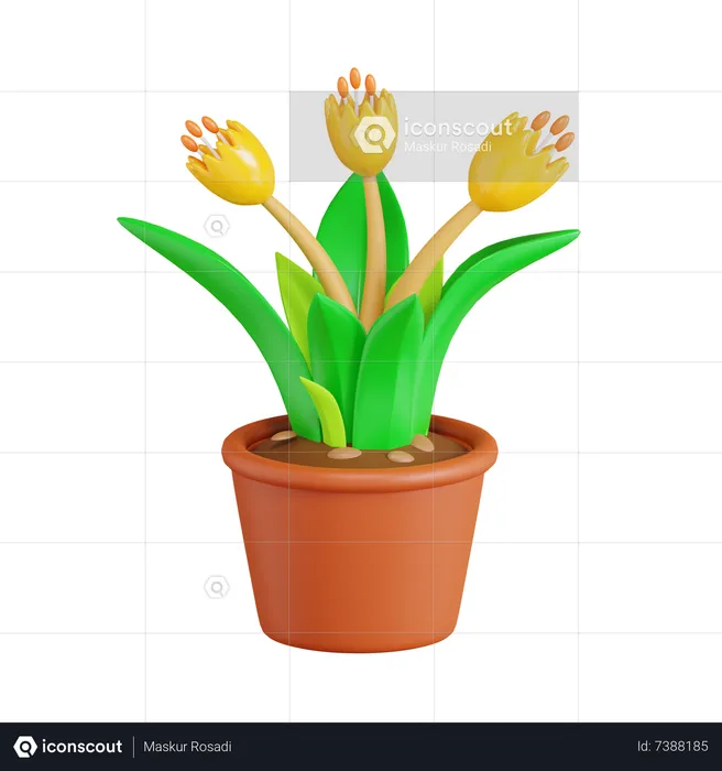 Tulip Flower  3D Icon