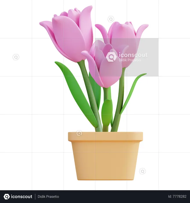 Tulip Flower  3D Icon