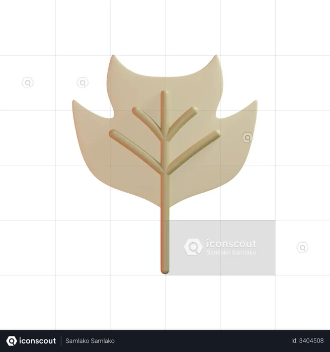 Tulip Poplar Leaf  3D Illustration