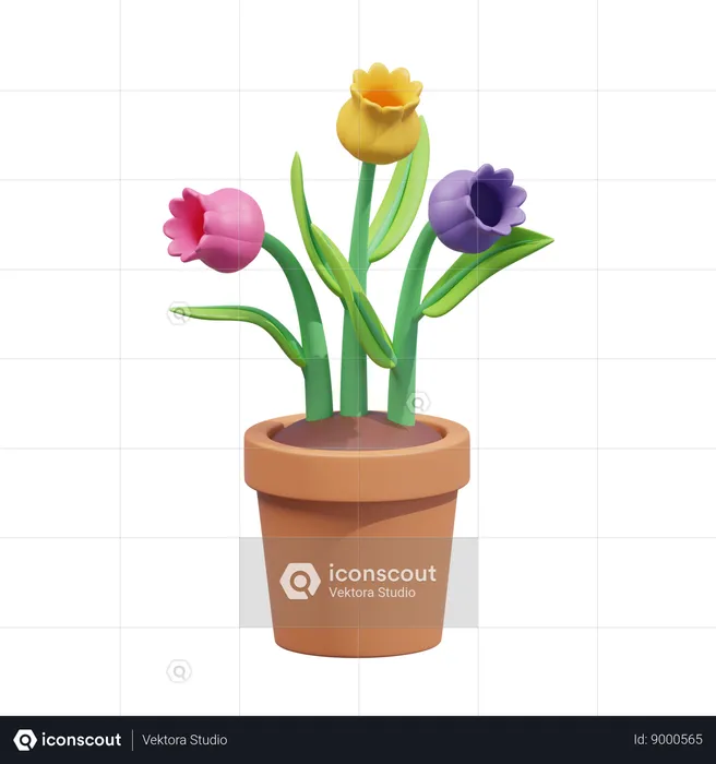 Tulipa  3D Icon