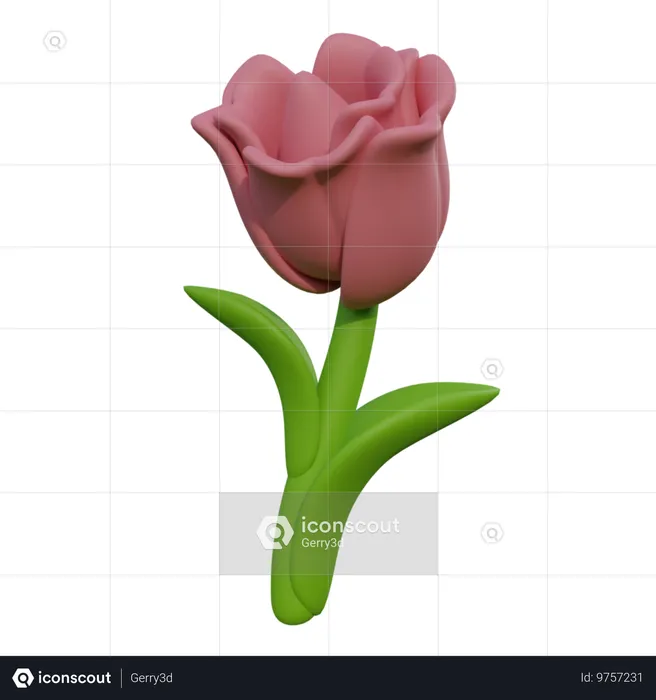 Tulipa  3D Icon