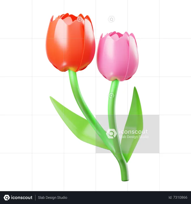 Tulipa  3D Icon