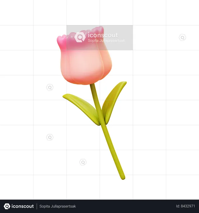 Flor de tulipán  3D Icon