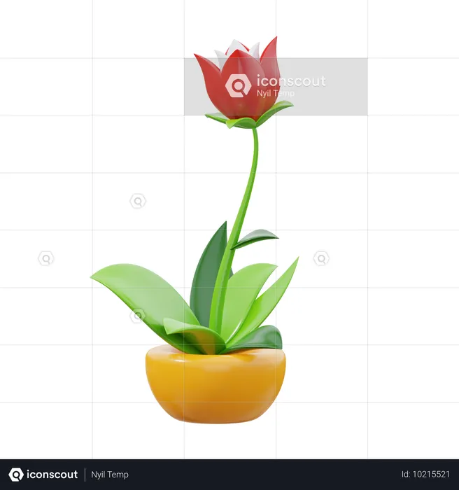 Tulipe  3D Icon