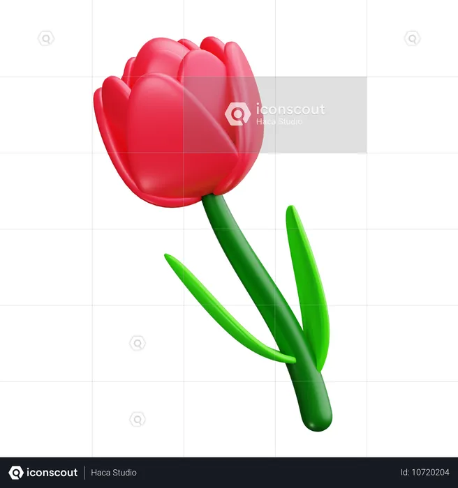 Tulipe  3D Icon