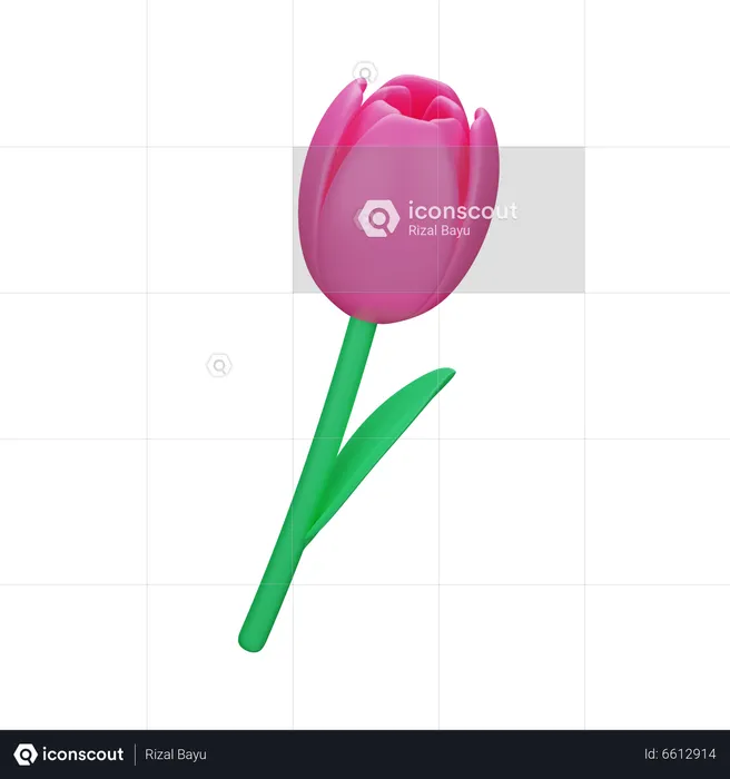 Tulipe  3D Icon