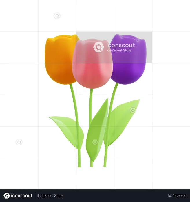 Tulips  3D Icon