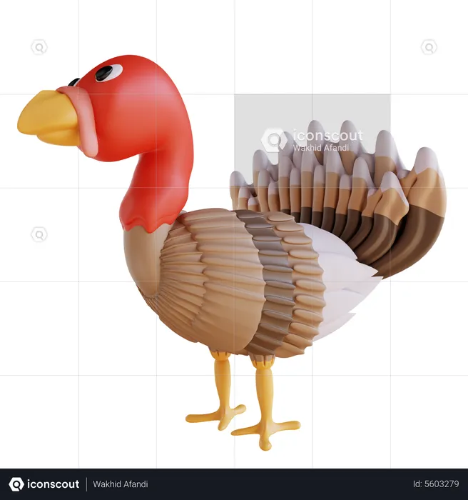 Turkey Bird  3D Icon