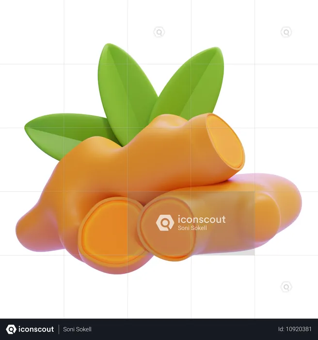 Turmeric  3D Icon