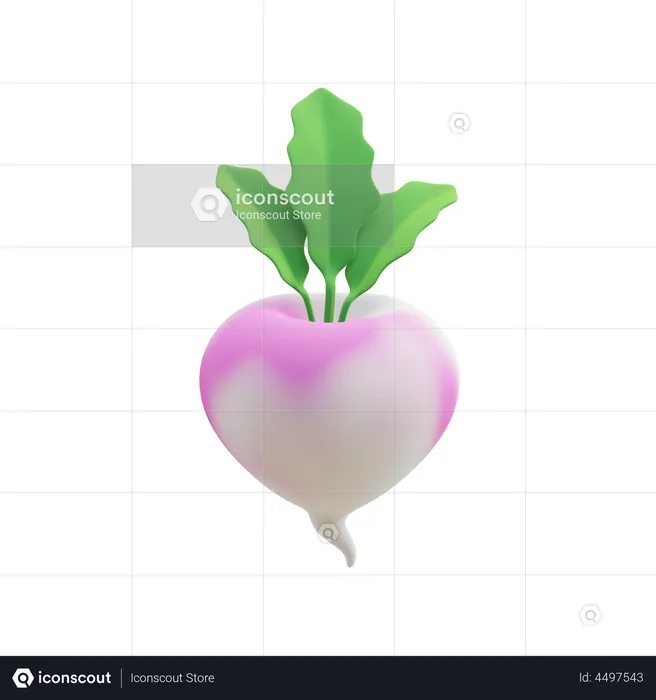 Turnip  3D Illustration
