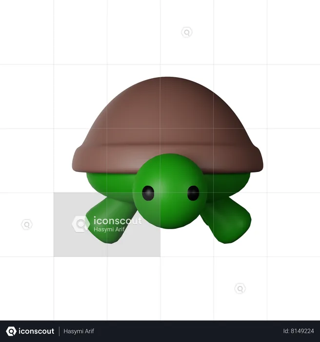 Turtle  3D Icon